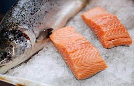 Искусственный лосось — не экологическое решение