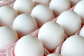 Дело некачественных яиц на Камчатке