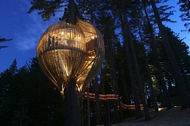 Ресторан на дереве Yellow Treehouse в Окленде \ Architecture