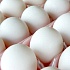Дело некачественных яиц на Камчатке