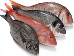 Польза и вред рыбы