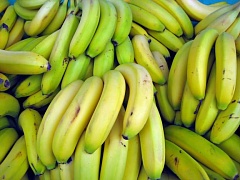 Бананы вырастут в цене