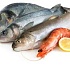 Польза рыбьего жира для здоровья