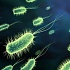 Кисломолочных бактерий запускают в космос