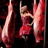 Леди Гага снова носит мясо
