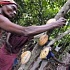 Кот-д'Ивуар запретил экспорт какао и кофе