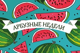 Собери МЕГАурожай арбузов в МЕГЕ Теплый Стан