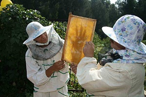 Обычаи русских пчеловодов