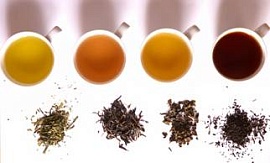 6 полезных типов чая