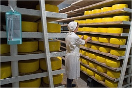 Заводы-производители сыров
