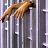 Тюрьмы Флориды прекратили кошерное питание