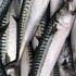Употребление рыбы спасет от инсульта и поражений мозга