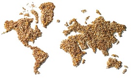 Франция призывает мир запасаться зерном
