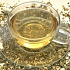 Зелёный чай защищает от герпеса