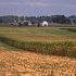 Польша последней в ЕС запретила ГМО