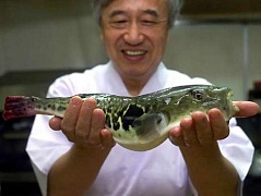 Рыба фугу - визитная карточка экстремальной японской кухни