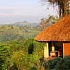 Уганда: отпуск на кофейной плантации