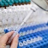 Раскрыт секрет китайского зелья от лихорадки