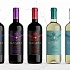 Первая коллекция тихих вин от итальянского Винного дома Gancia теперь в России