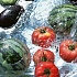 Заготовки различных овощей