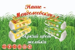 Наше Менделеевское