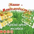 Наше Менделеевское
