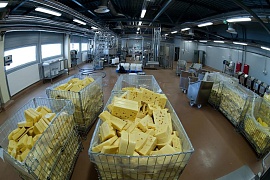 В России заработал самый большой завод плавленного сыра