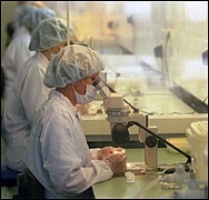 Скоро в Киеве откроют лабораторию по проверке ГМО