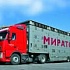 Чистая прибыль "Мираторга" выросла на 54,4% 