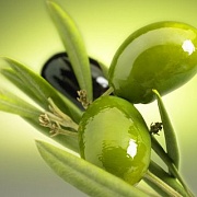 Сила эротической энергии оливкового масла