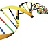 Еда и ДНК. Геномика