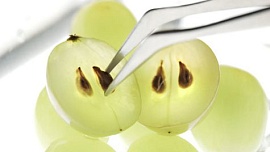 Применение виноградного масла в косметологии