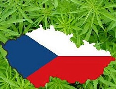 Чехия легализовала аптечную марихуану