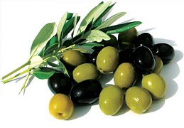 Оливки или маслины?