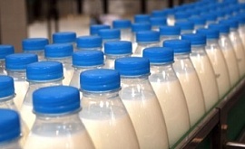 Белоруссия будет кормить молоком Индонезию
