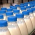 Белоруссия будет кормить молоком Индонезию