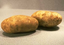 ГМ–картофель — секретное оружие Евросоюза.