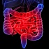 Пищевые отравления и болезни кишечника