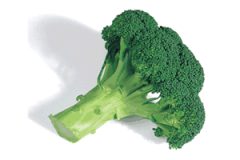 Испанцы увеличили потребление брокколи в 5 раз