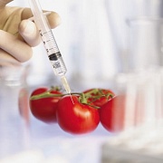  Значимость обозначения ГМО