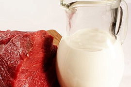 Россия может запретить поставки мяса и молока из Испании