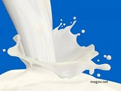 Нелегальное молоко в Киеве
