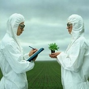В Украине ежемесячно будут проверять ГМО-содержание продуктов