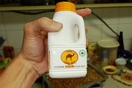 Ученые из Казахстана придумали как получать полезные продукты из верблюжьего молока