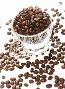 Как собирают урожай кофе