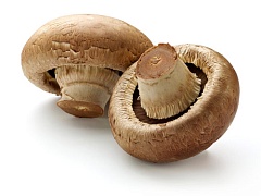 Экстракт грибов для увлажнения кожи