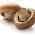 Экстракт грибов для увлажнения кожи
