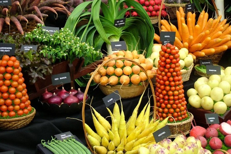 20 очень полезных продуктов