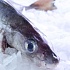 Россельхознадзор намерен запретить ввоз печени трески и морской щуки из Норвегии