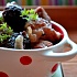 Баранина с черносливом и корицей